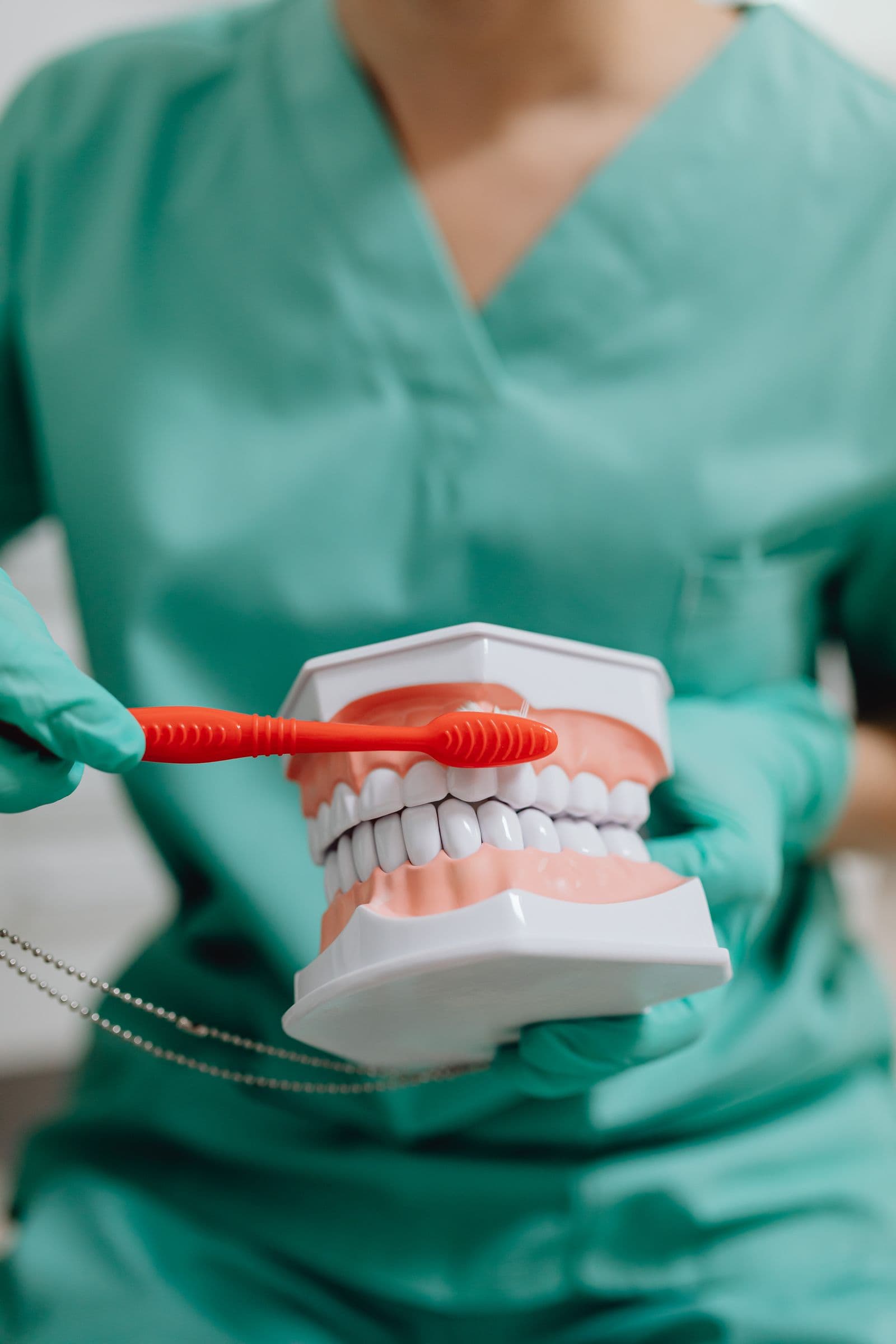 A dental professional in teal scrubs demonstrating toothbrush technique on a model of the teeth and gums